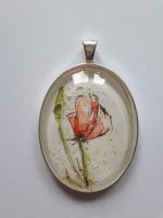HALS_oval_026